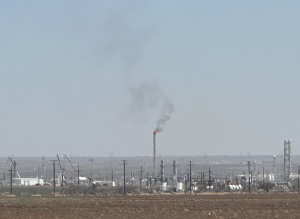 Permian pollution